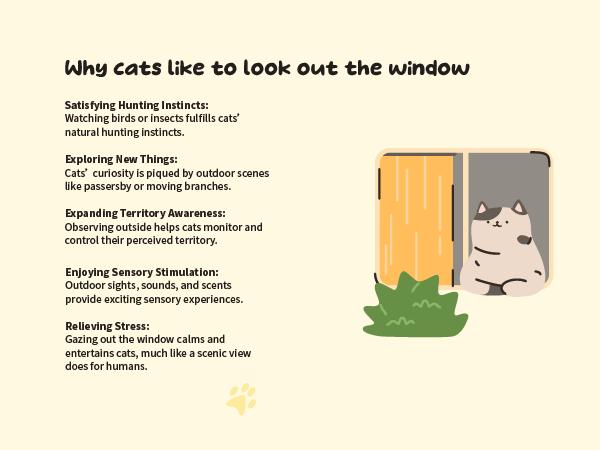Folding Cat Hammock for Window - Cordless, Machine Washable Bed, Robust Metal Frame, Strong Suction Cups，Cat Window Perch for Cats and Small Dogs