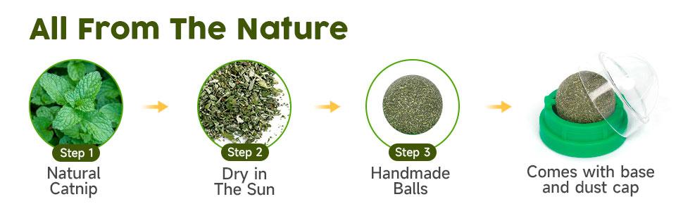 Catnip Toys Balls 4 Pcs. Extra Cat Energy Ball. Edible Kitten Silvervine Toys. Healthy Kitty Teeth Cleaning Dental Chew Toys. Cat Wall Treats Cat Stuf Catnip Toys Balls 4 Pcs. Extra Cat Energy Ball. Edible Kitten Silvervine Toys. Healthy Kitty Teeth Cleaning Dental Chew Toys. Cat Wall Treats Cat Stuf
