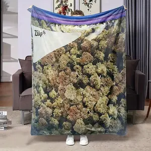 Dank Weed Theme Style1pc Plant Fleece Throw Blanket Lightweight Soft Comfortable Gift for Pot Stain Lovers Men WomenHome