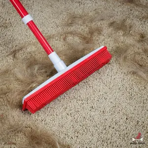 GoodClark Hair Removal Broom
