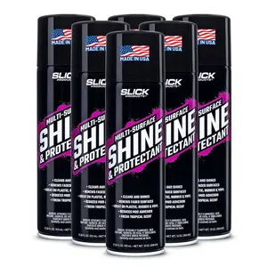 Special Offer - Shine & Protectant 6-Pack