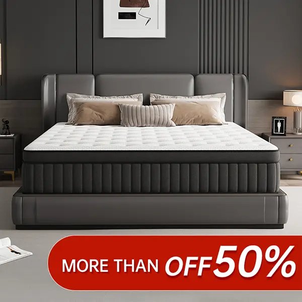 【2 Year No Sinking Guarantee】DIDISLEEP 8/10/12/14 Inch Twin, Full,Queen,King quality Mattress Sponge Foam And Spring,Hybrid Mattress Medium Firmness,Ergonomic queen size mattressInterior Modern,For Home Rooms Hotels,HalloweenChristmas Gift,Boxed Furniture