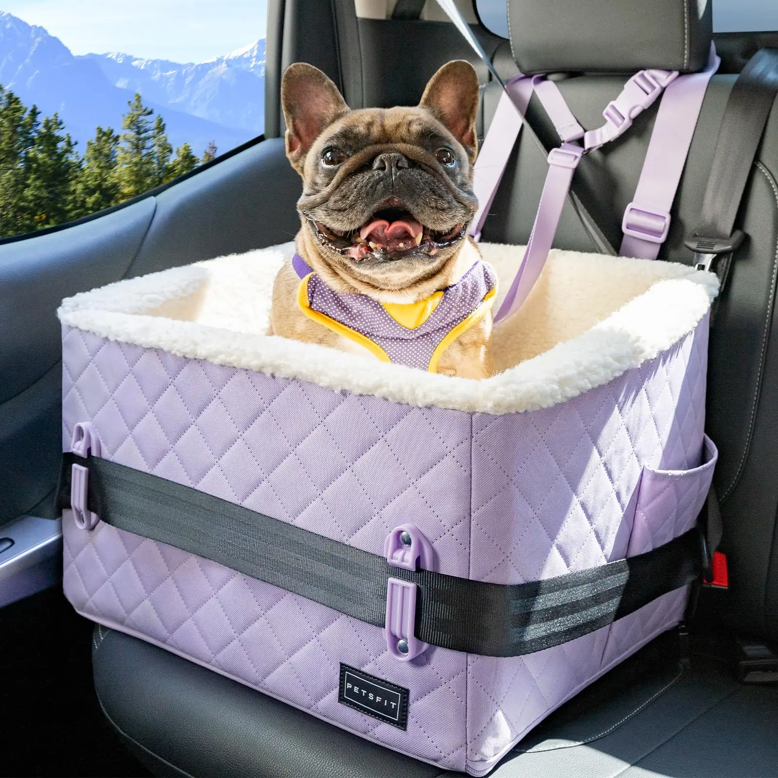 PETSFIT Dog Booster Car Seat, Soft Foam Cat Car Seat with Patented Safety Buckles, Storage Pockets and Detachable Clip-On Safety Leash, Dog Car Seats for Small Dogs Under 30 LBS
