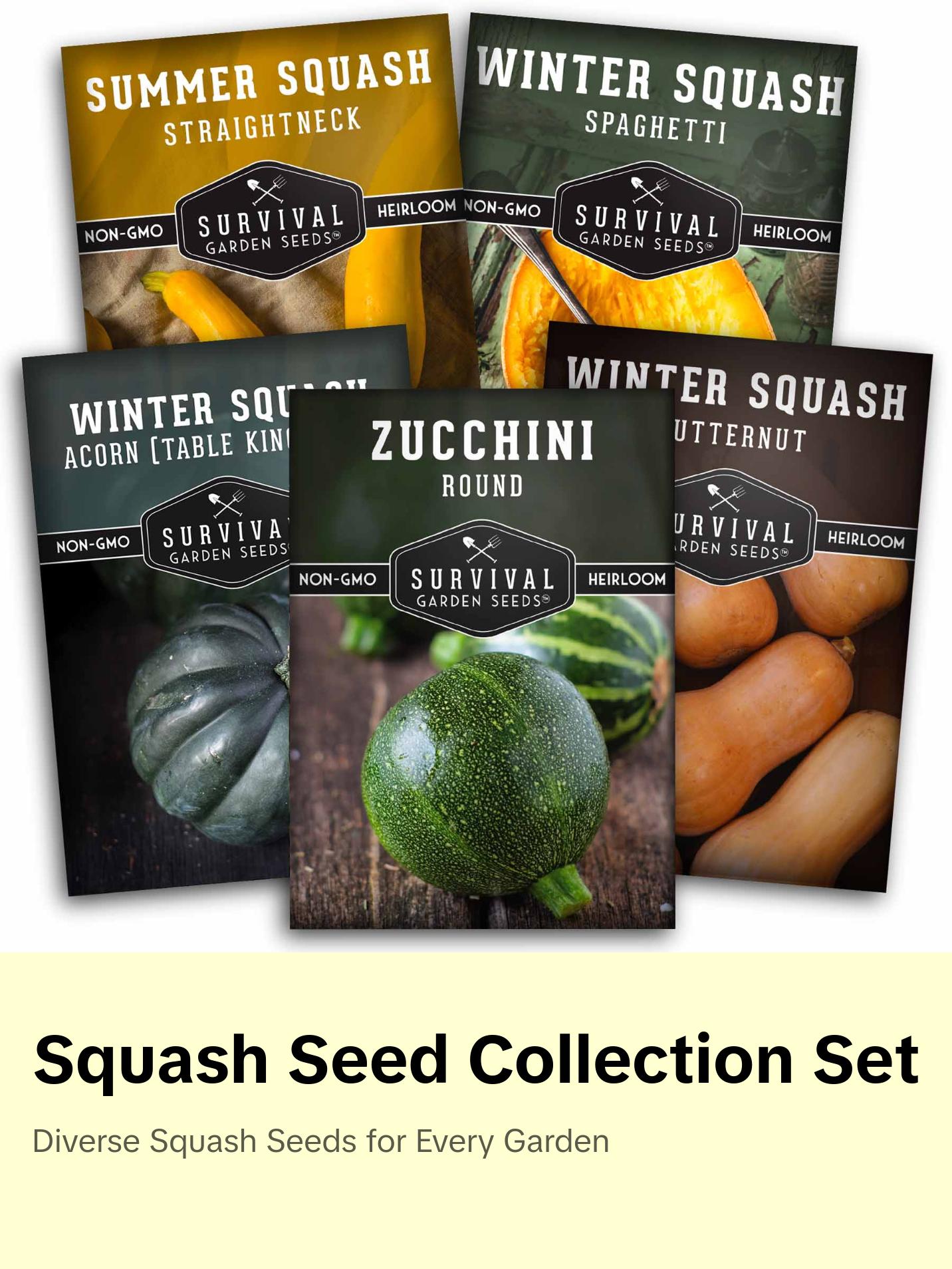 Survival Garden Seeds Squash Seed Collection - Winter & Summer Squash - 5 Non-GMO Heirloom Varieties for Planting - Round Zucchini, Straightneck Yellow, Spaghetti, Butternut, Acorn Squash - Easy to Grow - Compact & High Yields