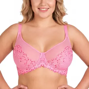 HSIA Winter Sonata Embroidered Lace Trim Full Coverage Unlined Underwire Bra