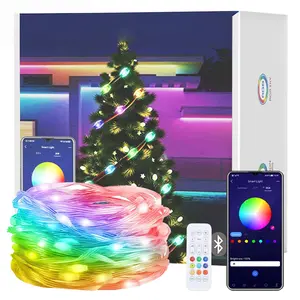 Smart RGBIC Fairy String Lights - Bluetooth App & Remote Controlled Addressable LED Bulbs, Individual Color Control, DIY Modes for Indoor/Outdoor Christmas Tree, Holiday Home Decor