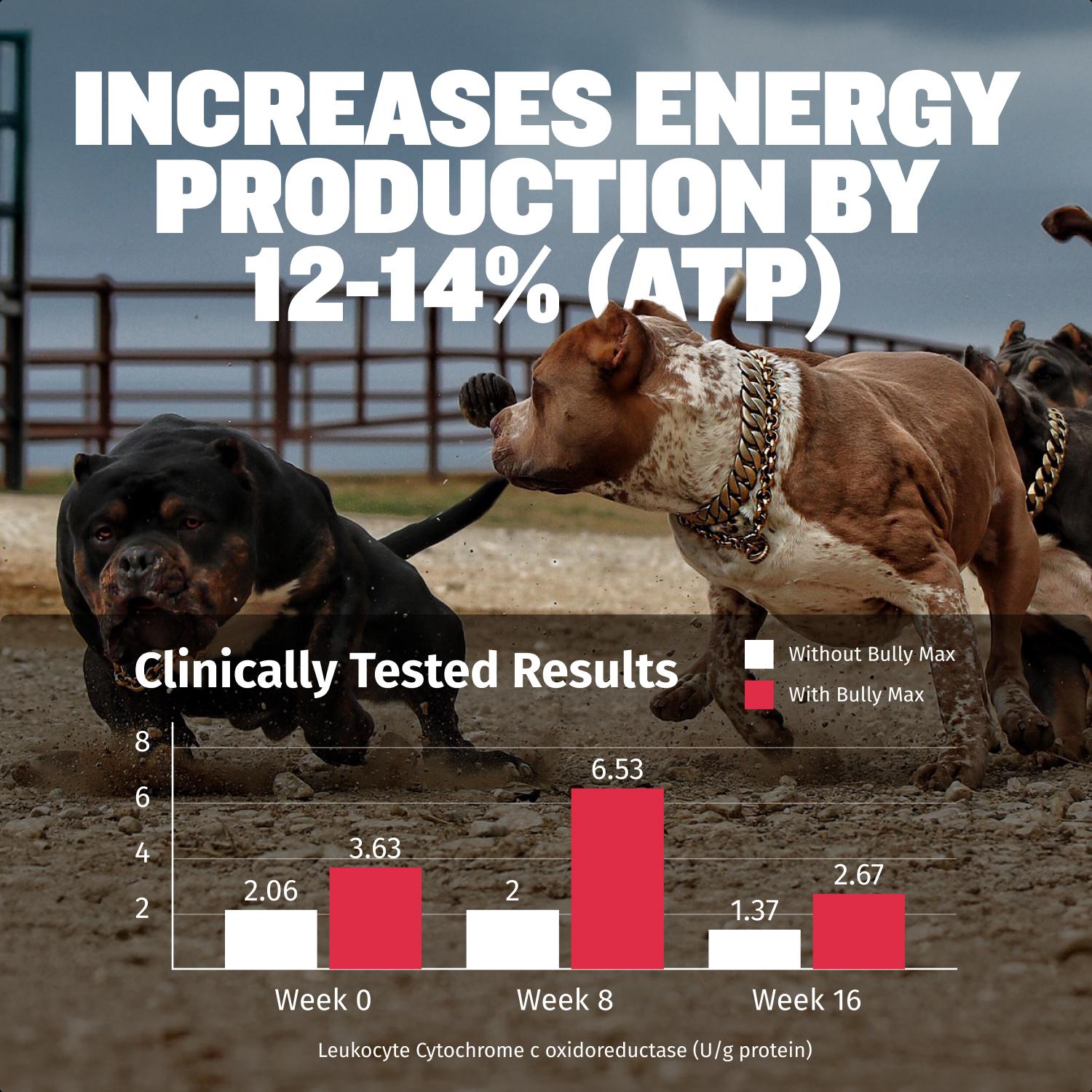 Bully Max 3-in-1 Liquid Dog Muscle Builder Supplement for Puppy and Adults Dogs - Dog Vitamins for Small & Large Breeds - Vet-Approved Dog Supplement