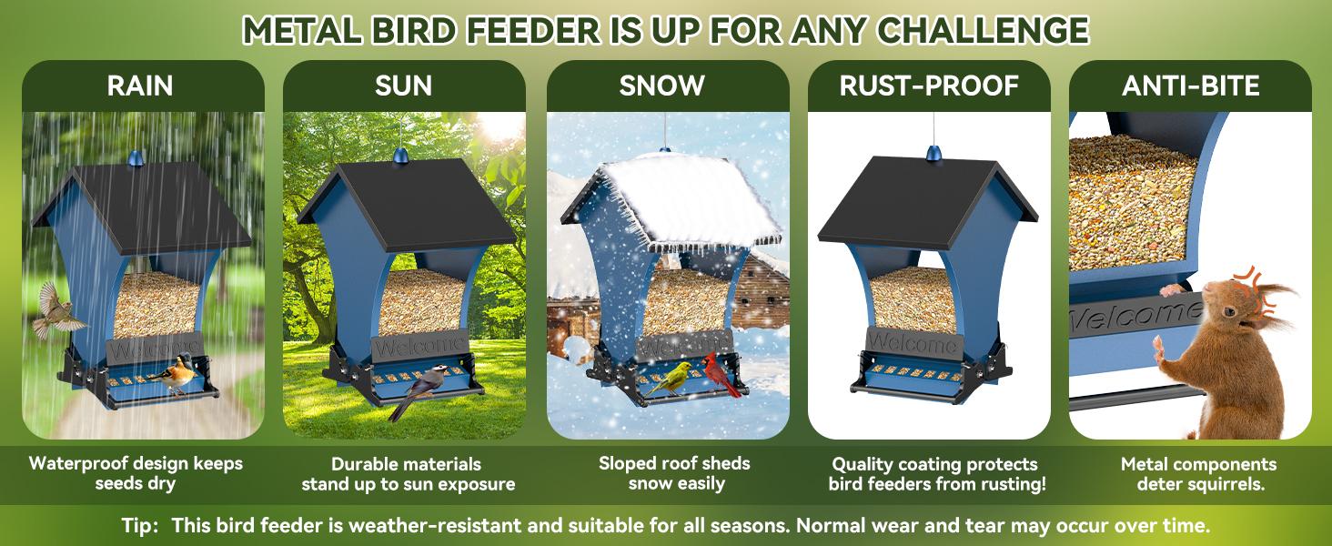 Wildpark Squirrel-Proof Bird Feeder – Durable, Vibrant Orange, Perfect for Cardinals & Chickadees – Ideal Gift for Bird Lovers, Moms & Grandmas Wildpark Squirrel-Proof Bird Feeder – Durable, Vibrant Orange, Perfect for Cardinals & Chickadees – Ideal Gift for Bird Lovers, Moms & Grandmas