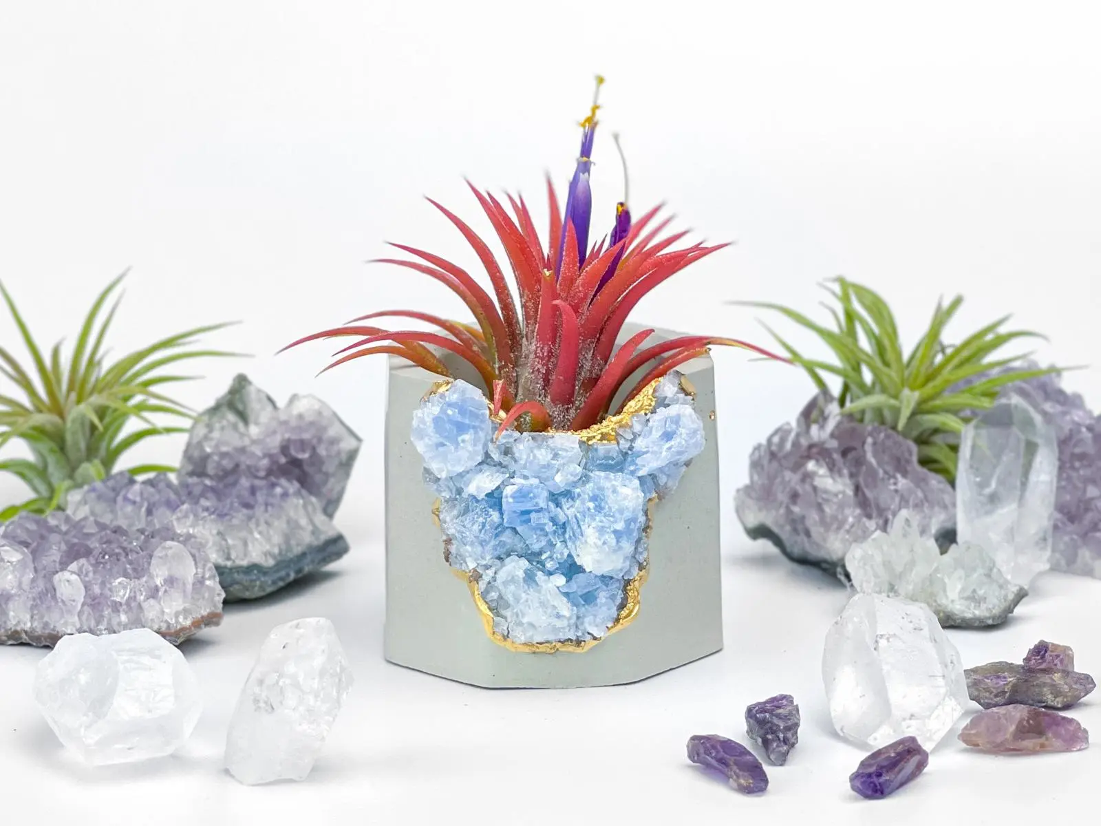 Succulent Crystal Planter | Geode Planter | Raw Blue Calcite