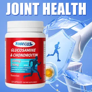 Heaisrlate Advanced Joint Support Complex Glucosamine Chondroitin MSM Turmeric 120 Capsules for Mobility Comfort and Joint Health