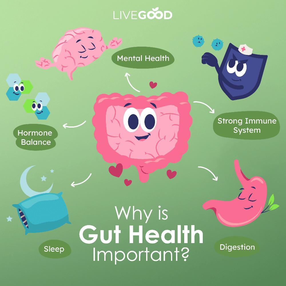 LiveGood Probiotic Gut Support