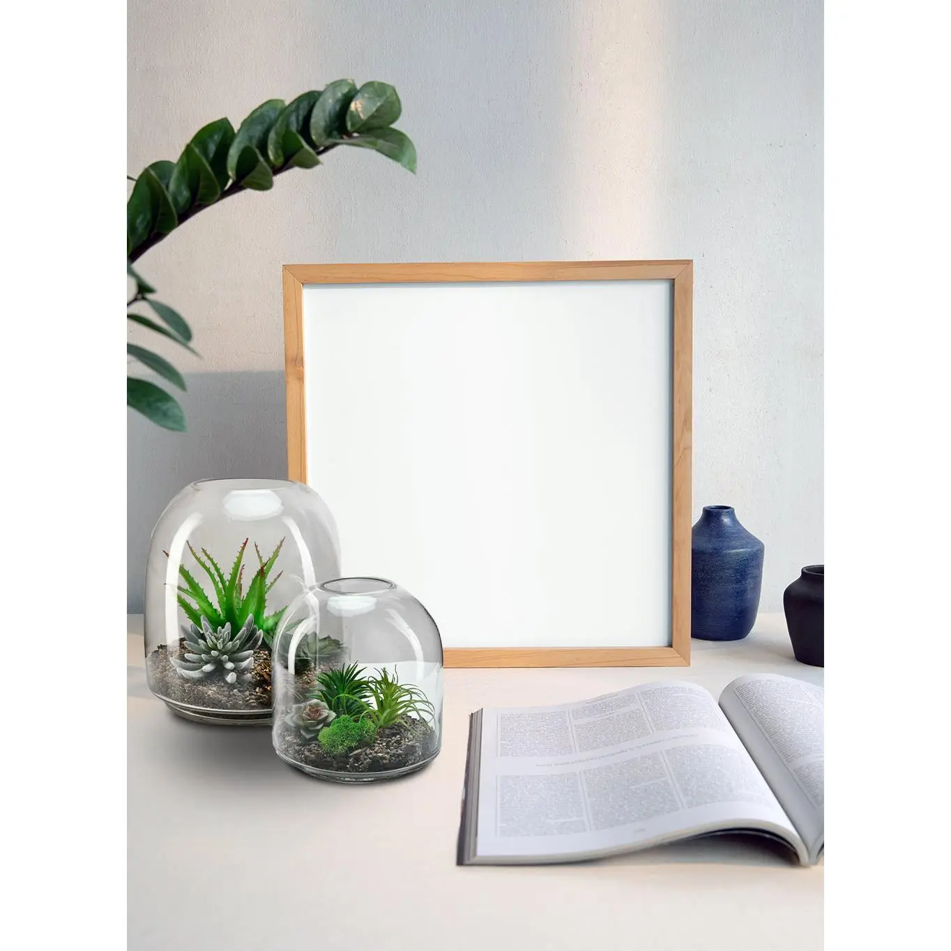 Dome Glass Terrarium Collection