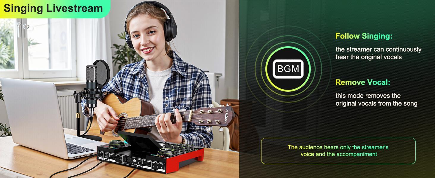 Tenlamp G10-P15 Series Audio Mixer, Live Sound Card with XLR Microphone Connector, Professional Chipset, 48V Phantom Power Supply, One Touch Noise Reduction, One Touch Voice Change for Podcast,Recording,Vocal,Game Voice