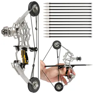 10.2 inch Mini Archery Bow Set Compound Bow Stainless Steel Includes 12 Arrows and Target Paper  Archery Gift for Practice Archery Entertainment