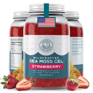 Herbal Vineyards Wildcrafted Strawberry Sea Moss Gel 16 Oz Jar - Made with Dried Seaweed & Fresh Sea Vegetables, Seamoss - Made in USA Healthy Fruit