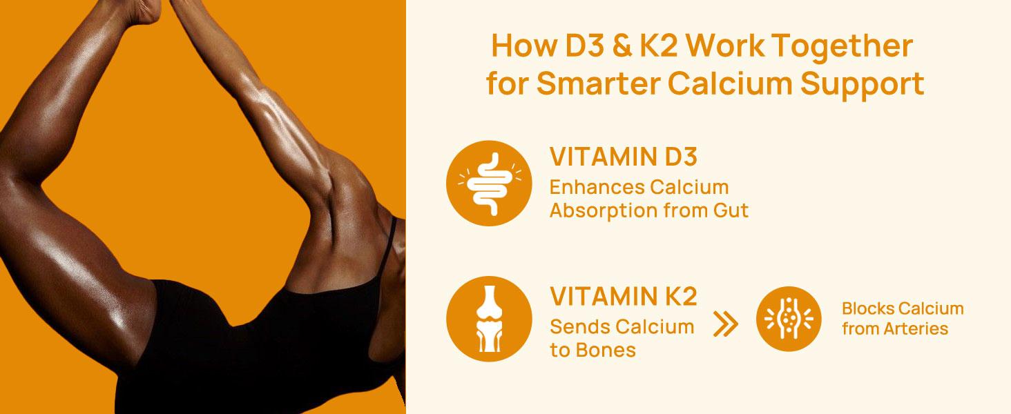 Selerb Vitamin D3 K2 – 10,000 IU D3 + 200 mcg MK-7 with Virgin Coconut Oil – Bone, Heart & Immune Support – 120 Softgels High Potency Supplement Daily Dietary Supplement Curated Supplements Lean Muscle Booster