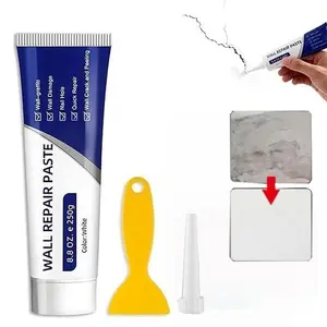 Drywall Repair Kit (250g) — Multi-purpose, Quick-Drying Paste Adhesive; Heavy-Duty Concrete Sealant; Waterproof & Self-Adhesive