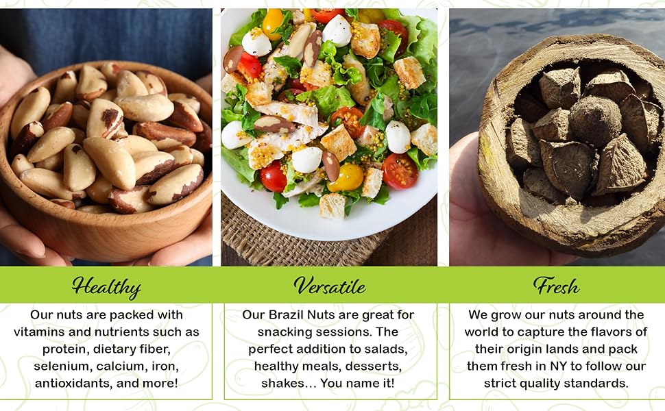 Nut Cravings Organic Brazil Nuts in Shell, Raw, Roasted, Salted & Broken | Bulk Fresh Nuts in Resealable Bag | Rich In Protein and Fiber | Immune Boost Bites | Healthy Snacks Nut Cravings Organic Brazil Nuts in Shell, Raw, Roasted, Salted & Broken | Bulk Fresh Nuts in Resealable Bag | Rich In Protein and Fiber | Immune Boost Bites | Healthy Snacks