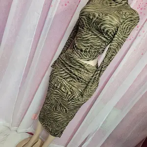 Elegant Zebra Print Dress Set 2 Pieces for Women's Stylish Outfits