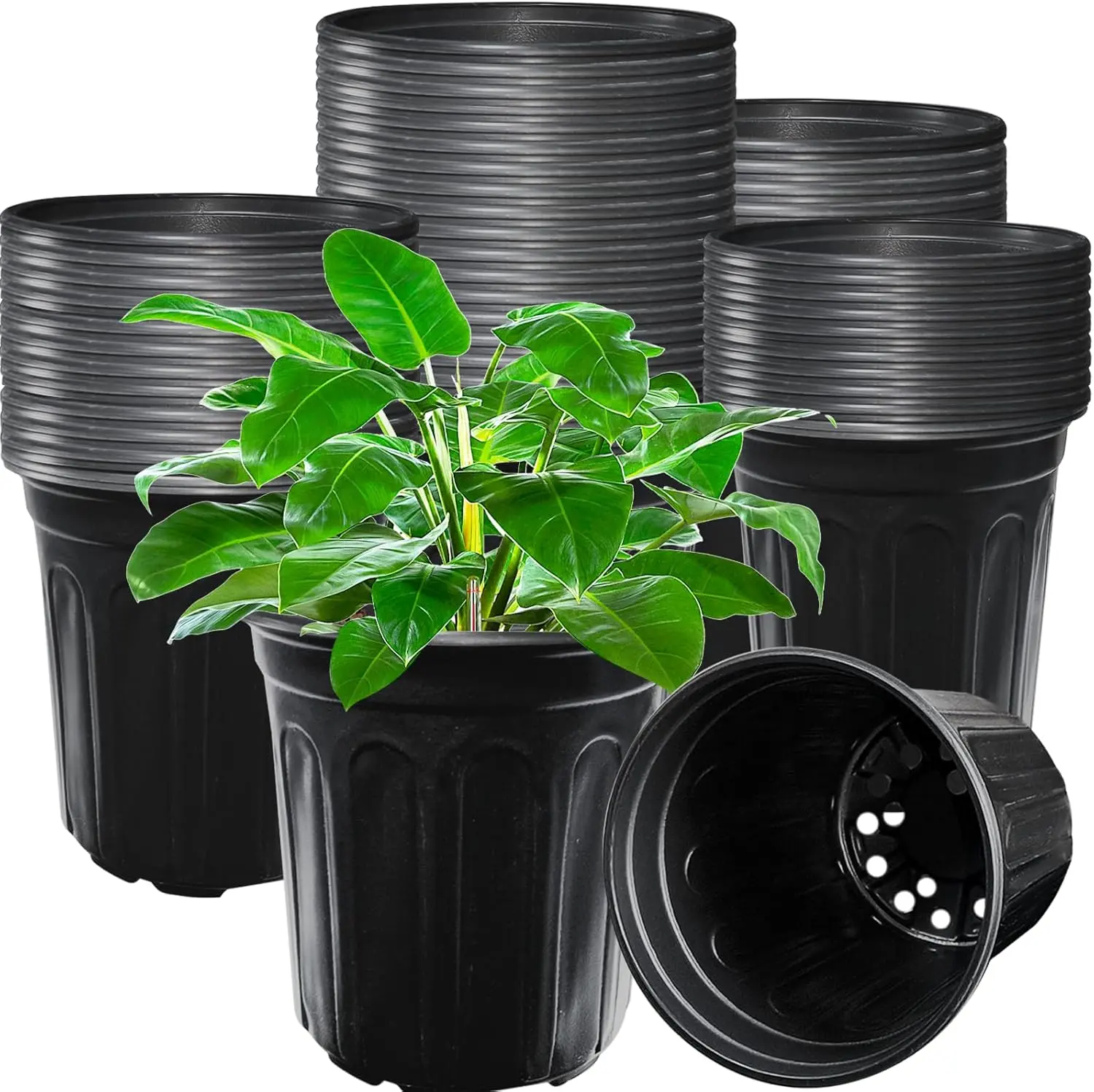 Nursery Plant Pots 60 Pack 1 Gallon Thickened Flexible Plastic Seedling Pot with Holes Flower Plant Container