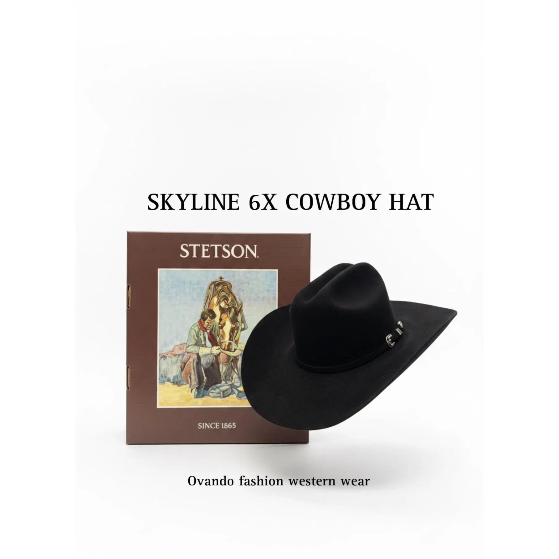 Stetson Hat black 6x