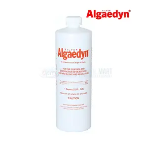 Silver Algaedyn Algae Remover Algaecide | Green and Mustard Algae Remover | Black Algae Remover | 32 oz. | 47-600