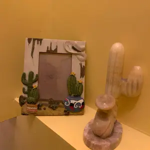 Desert Cactus Western picture Frame