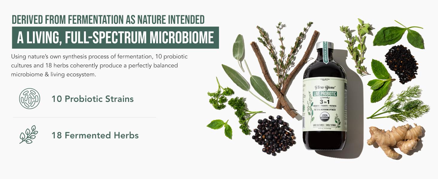 Flora Biome Live Probiotic - Natural Supplement for Health - Edible