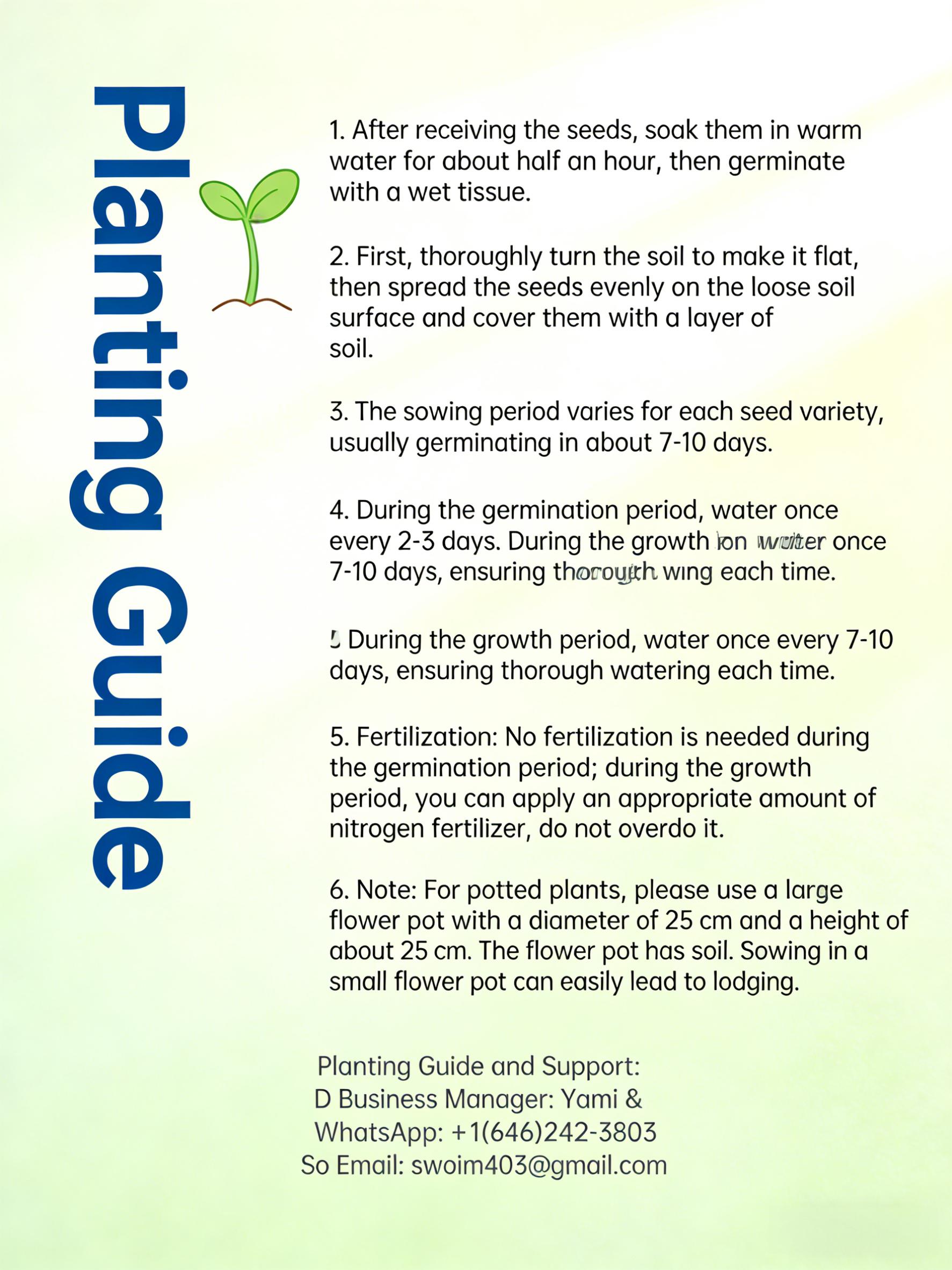 200PCS Guava Seeds for Planting – Easy to Grow Guava Tree Seeds, Non-GMO Garden Seeds for Indoor, Outdoor, Pots & Greenhouse