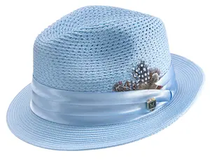 Altair Collection: Light Blue Braided Fedora with Feather Accent