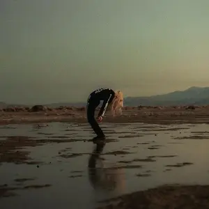 Phoebe Bridgers - Copycat Killer (Vinyl LP)