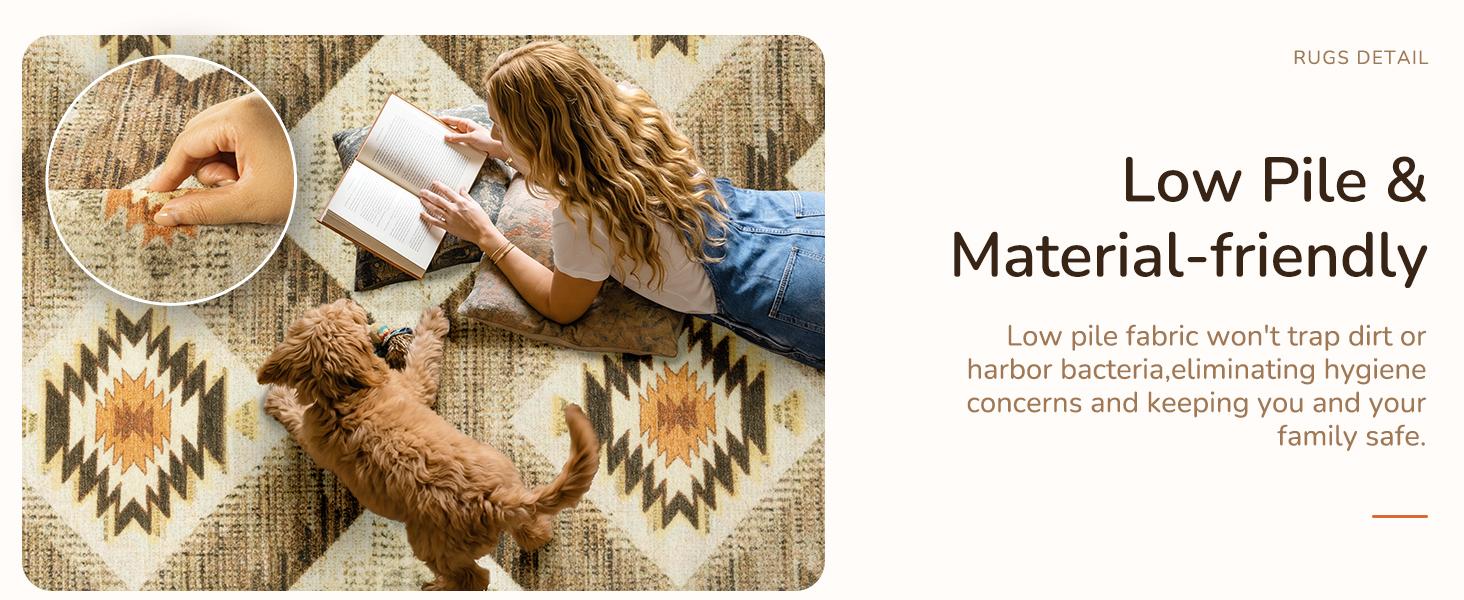 BESTSWEETIE | Western Washable Area Rugs – Large Boho Rugs for Living Room & Bedroom – Soft, Non-Slip, Faux Wool, Various Sizes, OEKO-TEX Certified, Aztec Modern Rugs for Rustic Farmhouse Home Decor, Home & Dorm Essentials