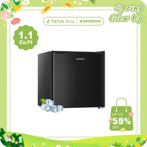 BANGSON 1.1 Cu.Ft Small Upright Freezer, Single Door Mini Freestanding Freezer, Adjustable Leveling Feet, Reversible Door, Adjustable Thermostat, Energy-Efficient & Quiet, Compact Design, for Apartment/Dorm/Kitchen, Black & Silver Portable Refrigerator Ho