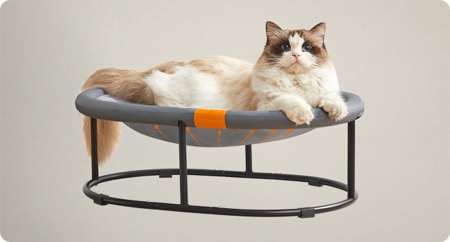 Feandrea Pet Bed, Cat Hammock, Elevated Cat Bed for Multiple Cats, with Removable Washable Mesh, for Pets up to 28 lb, Oval, Gray UPCB002G01 Feandrea Pet Bed, Cat Hammock, Elevated Cat Bed for Multiple Cats, with Removable Washable Mesh, for Pets up to 28 lb, Oval, Gray UPCB002G01