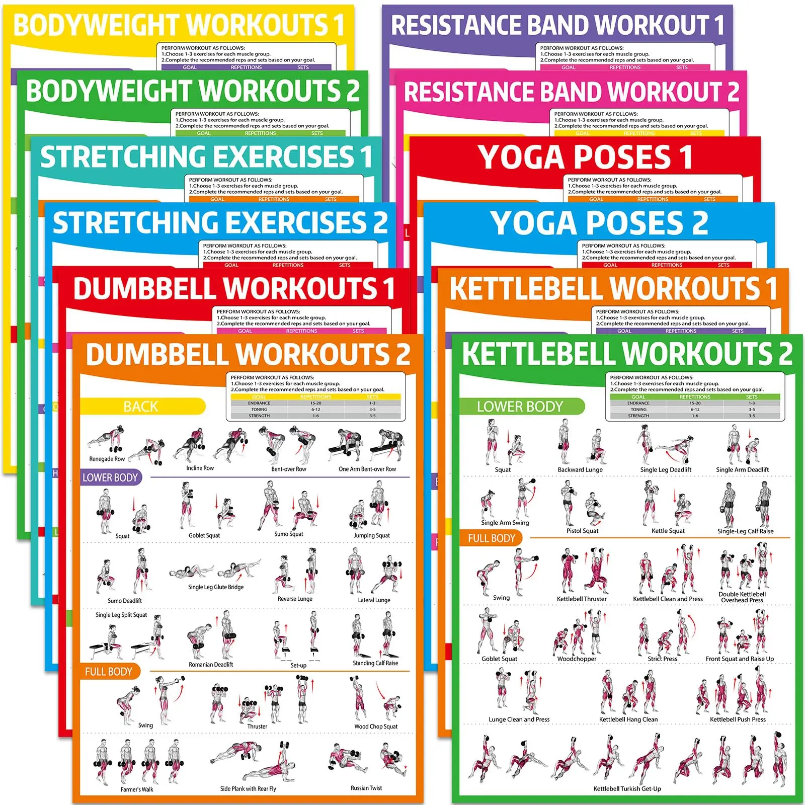 GISGFIM 12PCS Laminated Office Stationery Decor Charts - Laminated Muscle Group Guide Charts with Illustrations for Home Gym Dumbbells, Resistance Bands, Kettlebells, Stretching, Lower Limbs Training, Muscle Groups,back to school,back to school haul