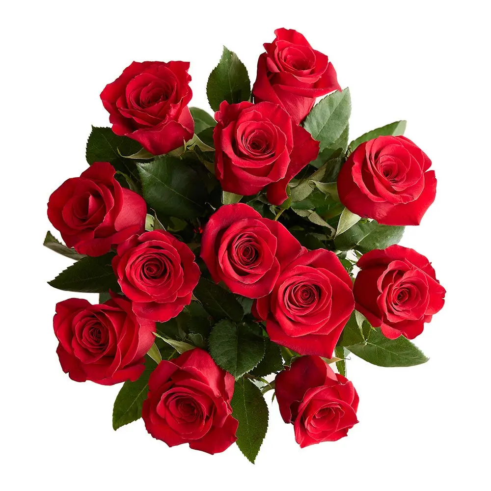 1800 Flowers - 12 Stem Red Roses Bouquet Only, Fresh Flowers