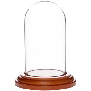 Plymor 1.85" x 3.5" Mini Glass Display Dome Cloche