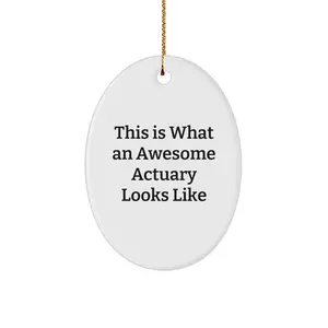 Funny Actuary Gifts - Gifts from Friends to Awesome Actuaries - Oval Ornament This Is What An Awesome Actuary Looks Like Christmas