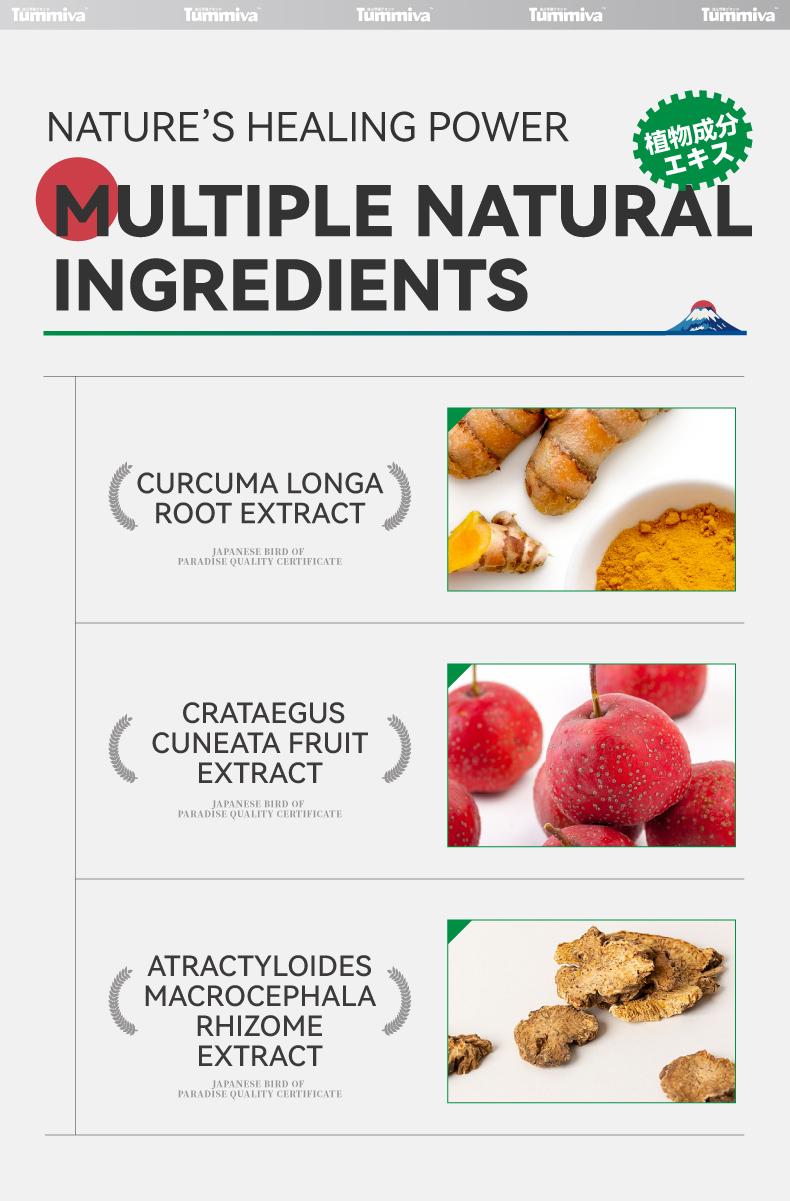 Tummiva 3 Gastrointestinal Gel CURCUMA LONGA Suitable for Relieving Abdominal Pain, Stomach Pain and Diarrhea