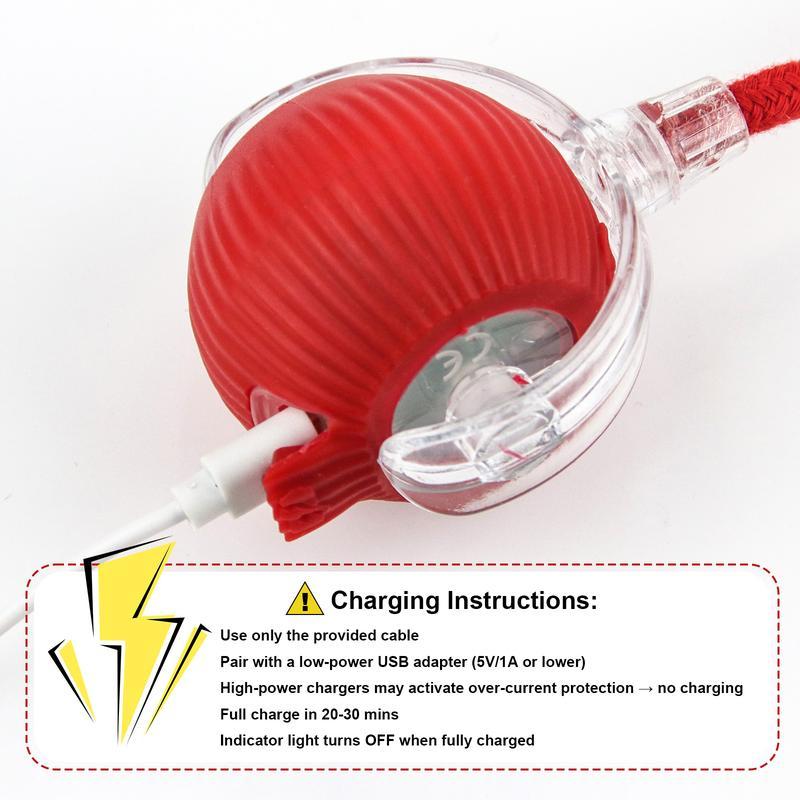 Interactive USB Rechargeable Ball Toy for Cats & Dogs, On-Rug Design with Bird Chirping Sound, Anti-Depression Pet Toy, Fun Gift for Dogs & Cats-Cat & Dog Interactive USB Rechargeable Ball Toy on Rug, Bird Chirping Sound, Anti-Depression