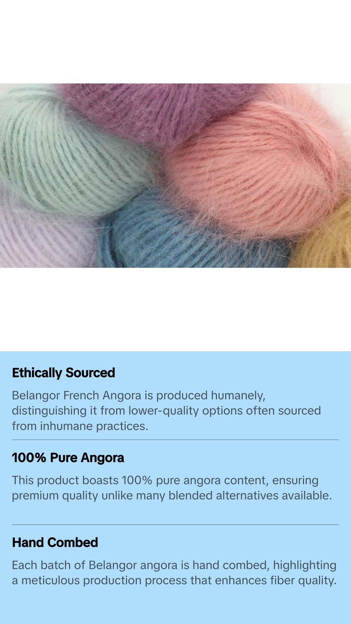 Belangor French Angora