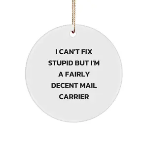 Funny Mail Carrier Gifts for Friends and Family - 'I Can't Fix Stupid' Circle Ornament, White, Christmas Unique Gifts from Men to Mail Carrier