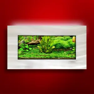 Aussie Aquarium View 2.0 Slim Wall Mounted Fish Tank Kit | 2 Gallon | LED Light | 4.5 inches Deep | All Hardware Included