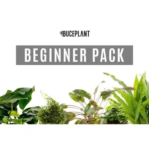 Beginner Plant Pack
