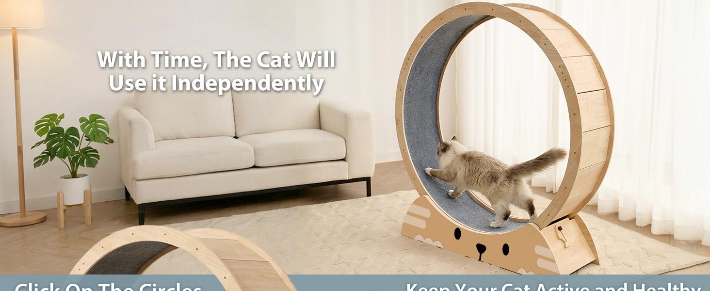 48" Cat Wheels for Indoor Cats, Quiet & Stable Cat Exercise Running Wheel, Cats Treadmill with Anti-Slip Mat