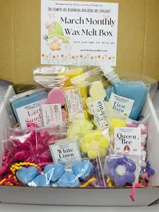 Monthly Wax Melts Box (March!)