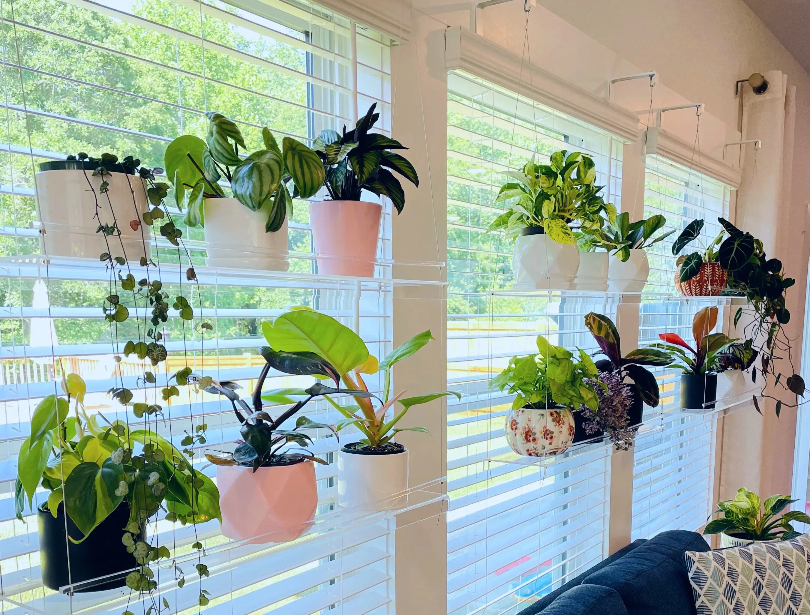 Window Plant Shelf | Hanging Shelf | Acrylic Plant Shelves | Plant Stand