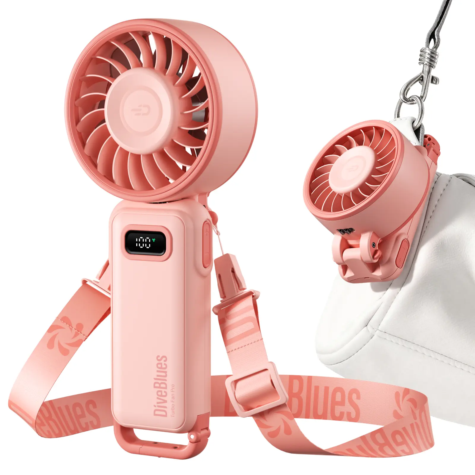 Versailles Rose Garden