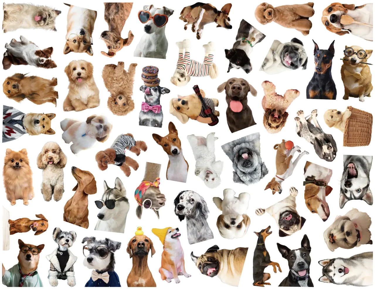Gift for free (not for sale) Random 9PCS Cute And Funny Meme Stickers for Customers Who Place Orders at the Shop