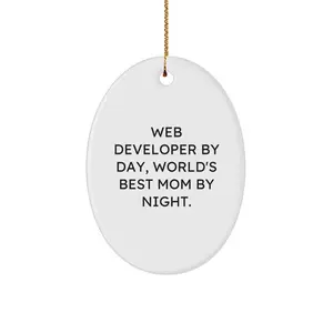 Unique Web Developer Gifts from Family, Funny Oval Ornament for Web Developer, Christmas Unique Gifts